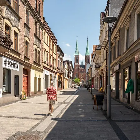 Platinum 12 Rybnik (Silesia)